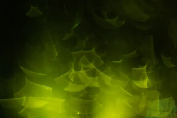 Billion Kaszinó Támogatás